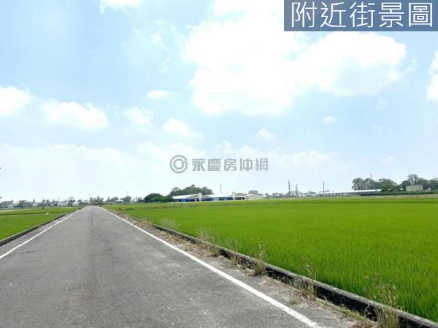 台南農地-5