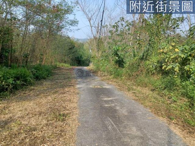 台南左鎮農地-3