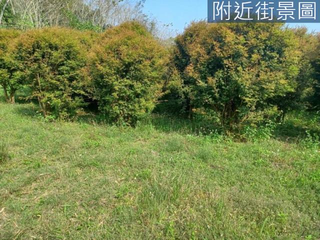 台南左鎮農地-4