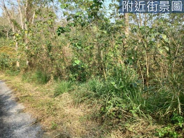 台南左鎮農地-5