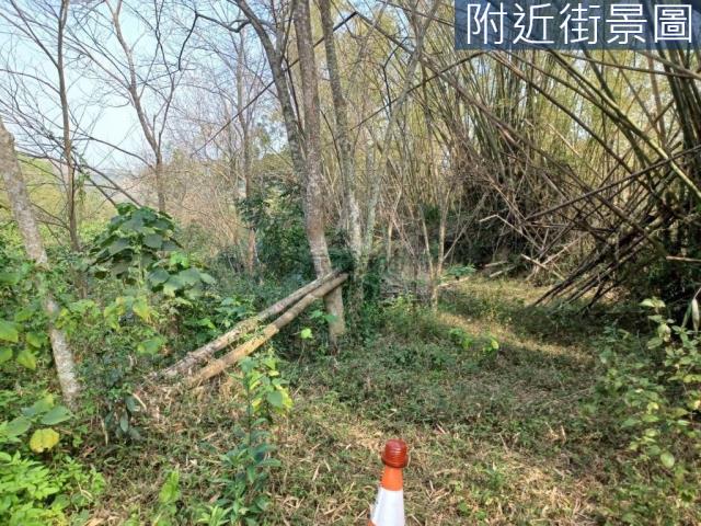 台南左鎮農地-6