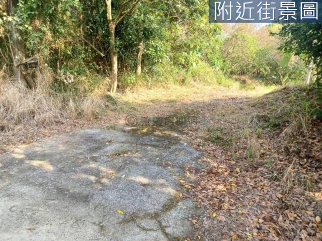 台南左鎮農地-2
