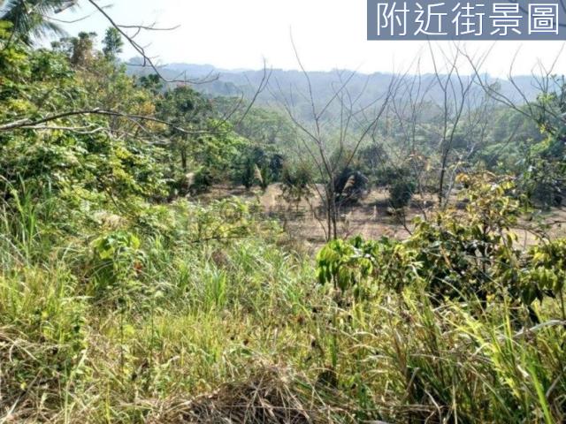 台南左鎮農地-3