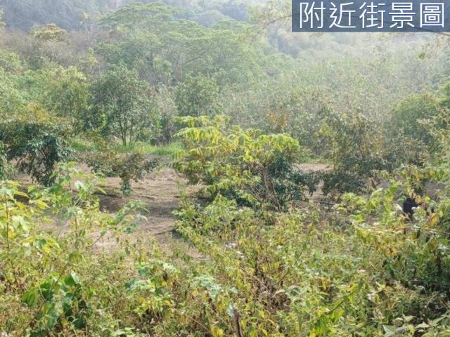 台南左鎮農地-4