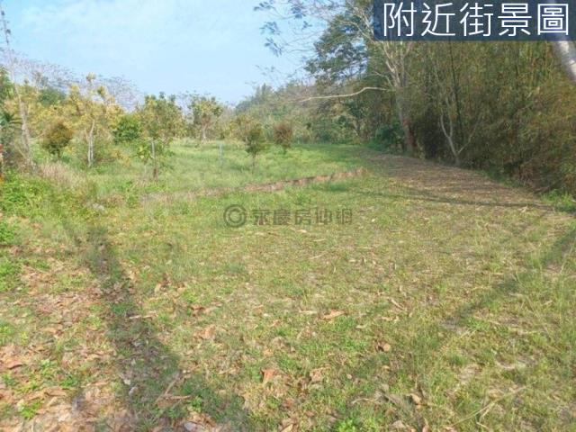 台南左鎮農地-5