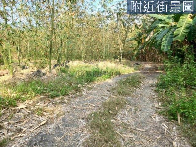 台南左鎮農地-7