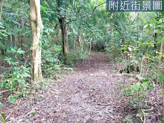 台南左鎮農地-10