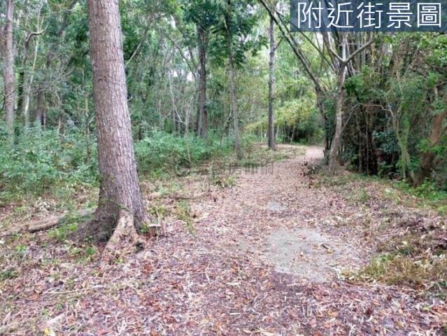 台南左鎮農地-11