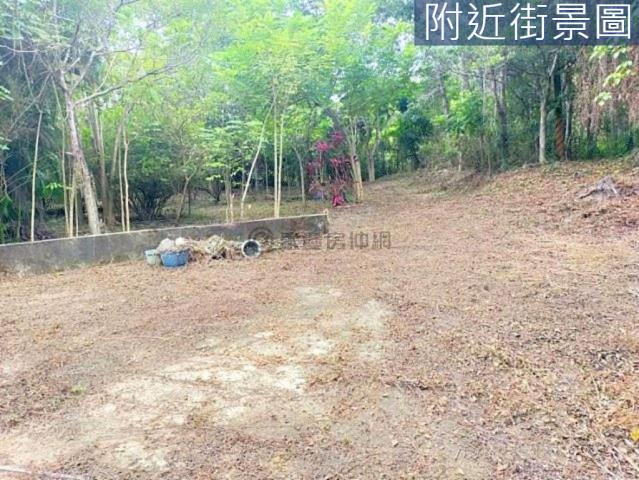 台南左鎮農地-4