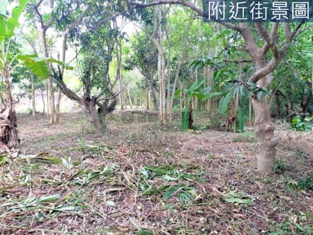台南左鎮農地-6