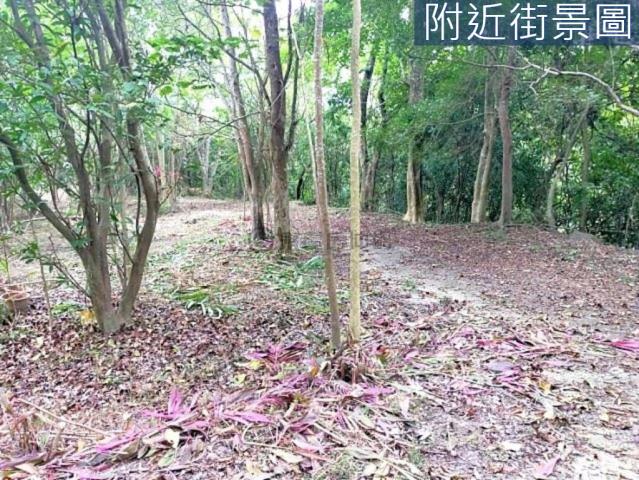 台南左鎮農地-9