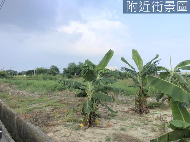 台南新化農地-2