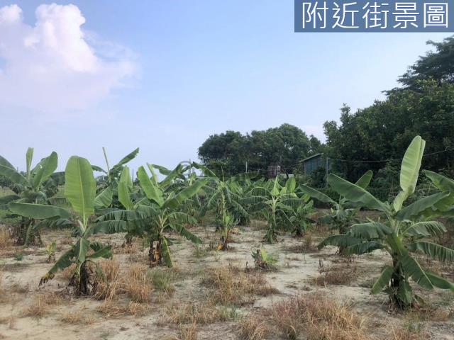 台南新化農地-8