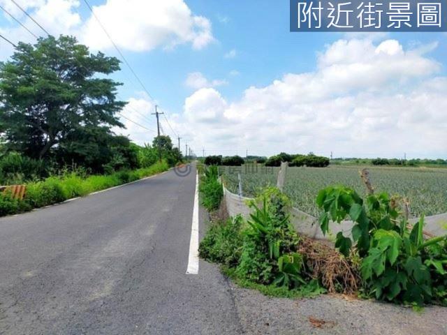 台南新市農地-10