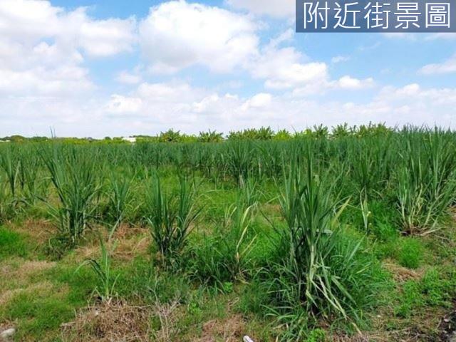台南新市農地-13