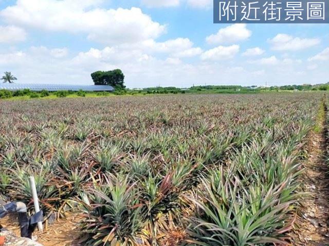 台南新市農地-15