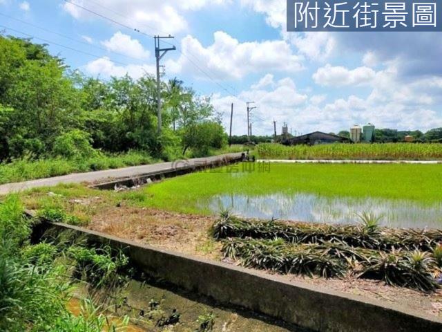 台南新市農地-1