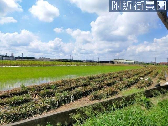 台南新市農地-5