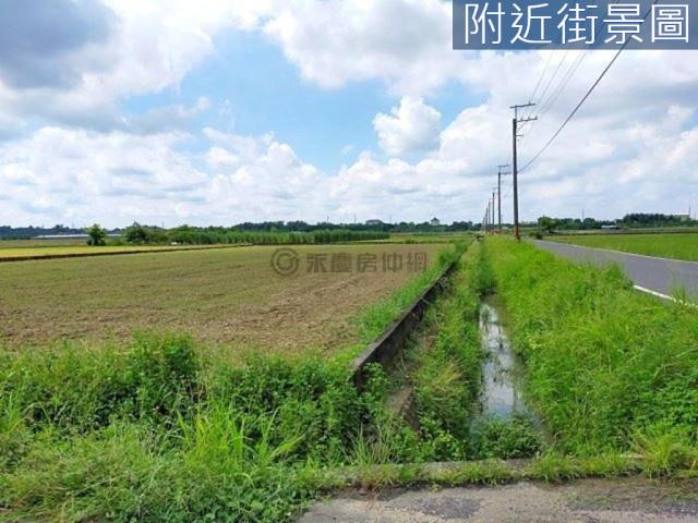 台南新市農地-7