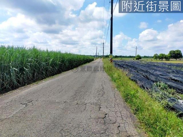 台南新市農地-8