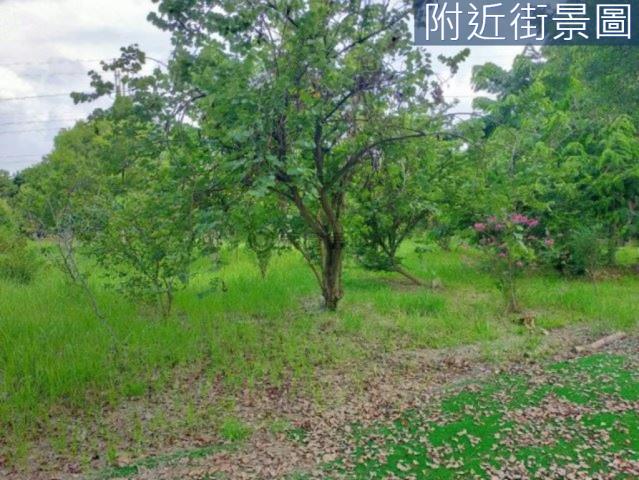 台南新市農地-4