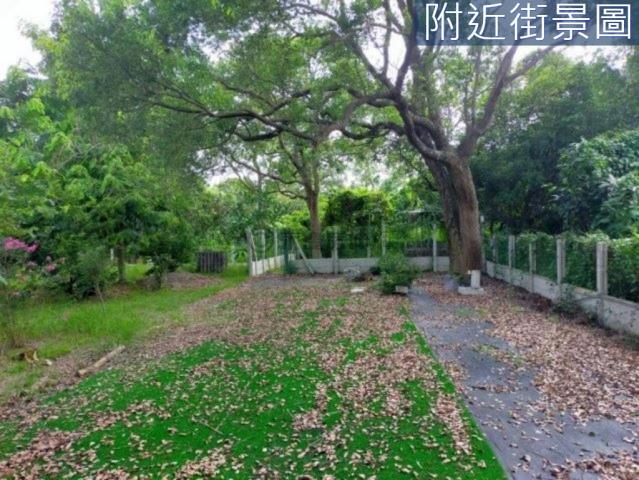 台南新市農地-5