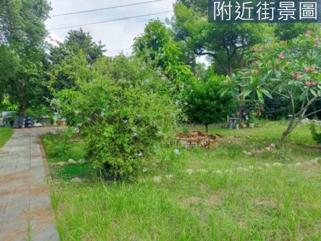 台南新市農地-6