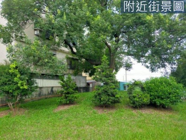 台南新市農地-7