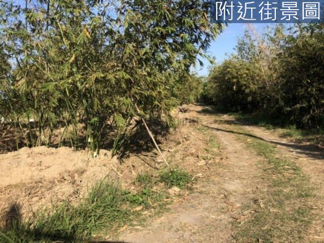 台南關廟農地-5