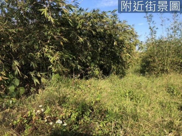 台南關廟農地-6