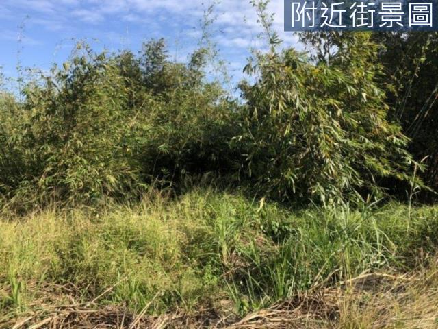 台南關廟農地-7