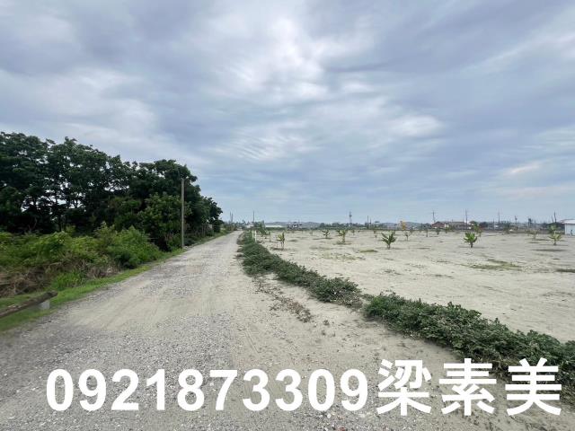 台南農地-7