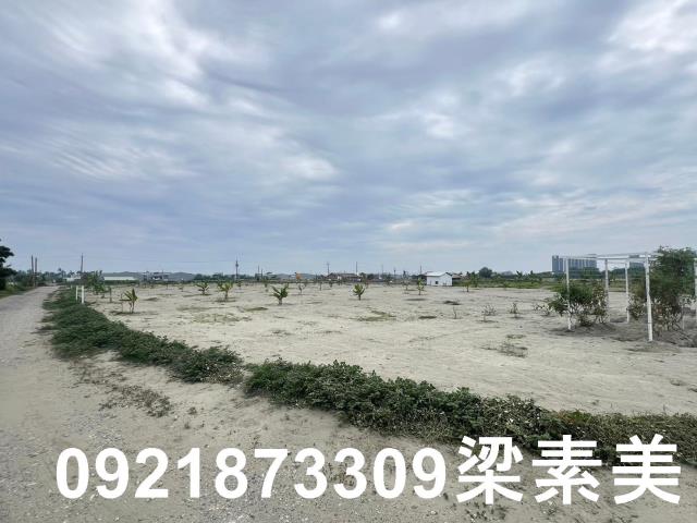 台南農地-8