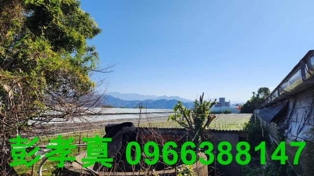 台中新社農地-11