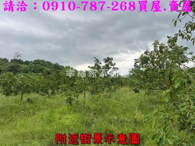 台南大內農地-10
