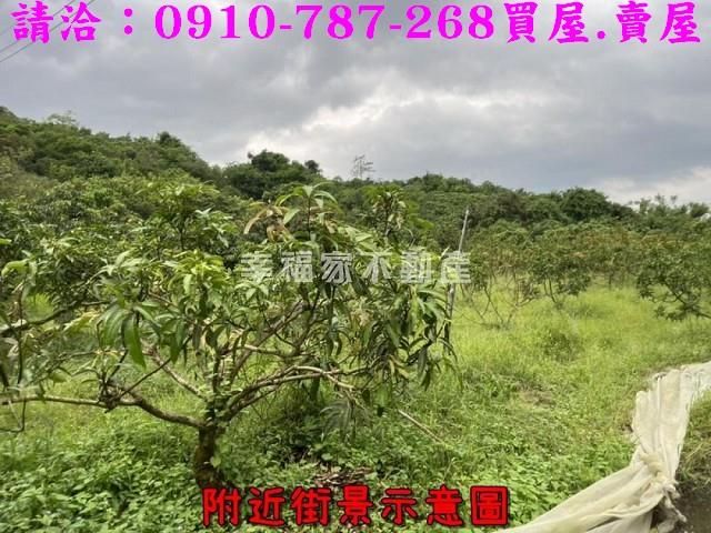 台南大內農地-11