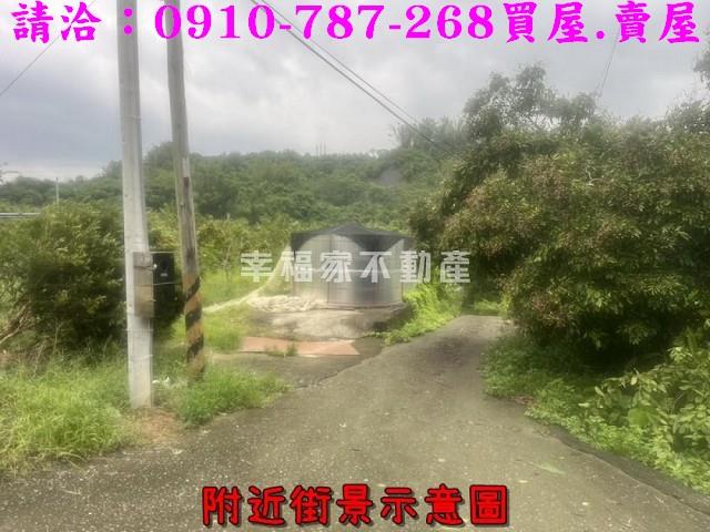 台南大內農地-2
