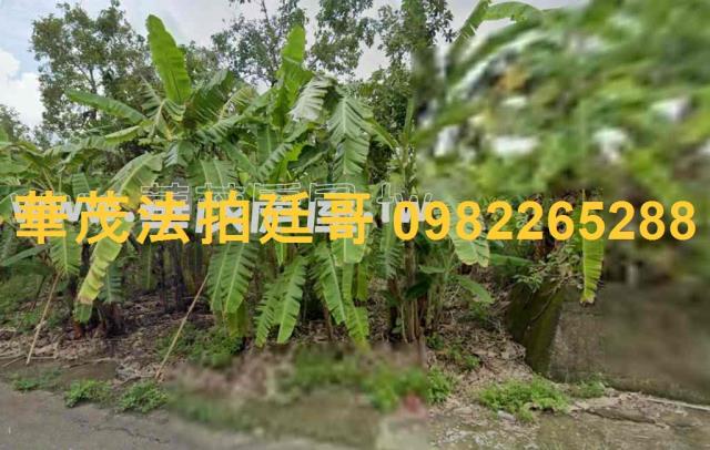 台南南化農地法拍-2