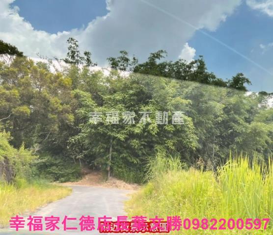 台南農地-1