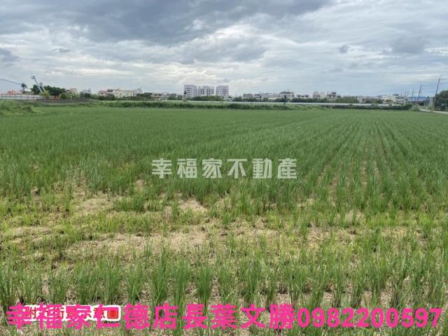 台南農地-13