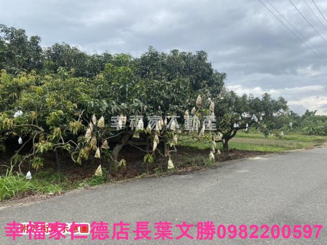 台南農地-9