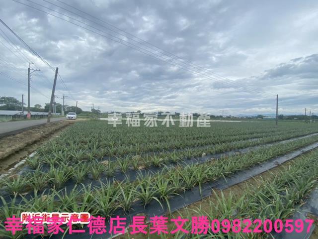 台南農地-10