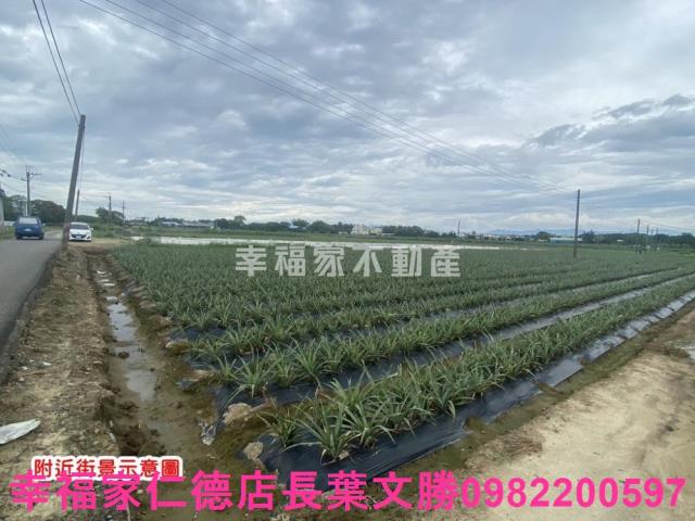 台南農地-12