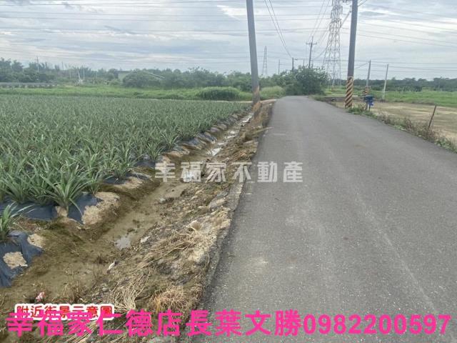 台南農地-2