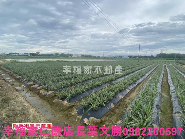 台南農地-3