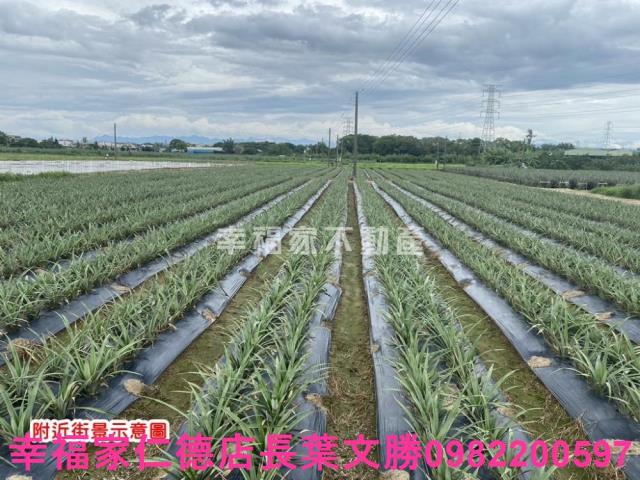 台南農地-5