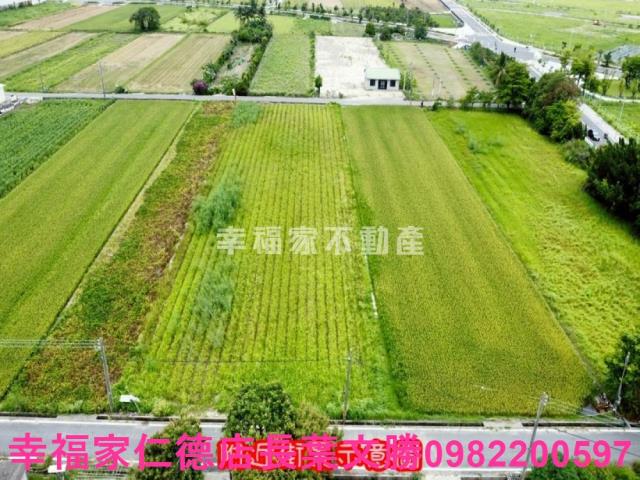 台南善化農地-14