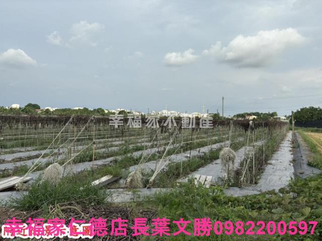 台南官田農地-1