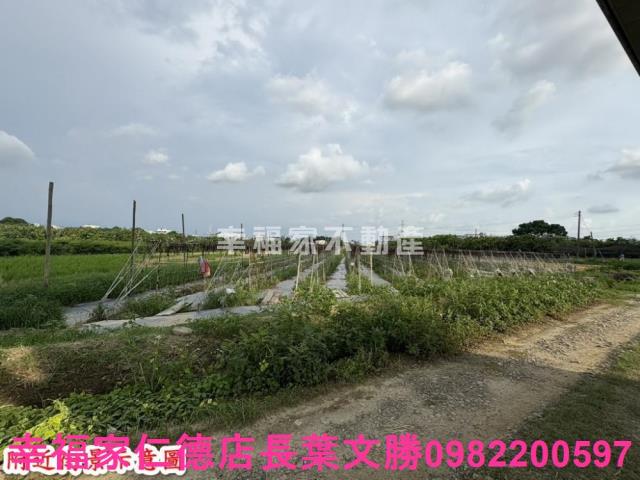 台南官田農地-3