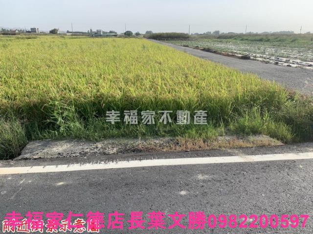 台南東山農地-11